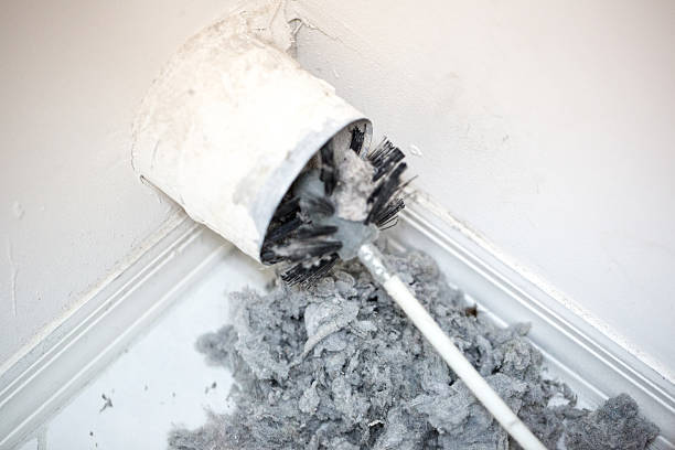 Best Local Air Duct Cleaning Services  in Hamburg, IA